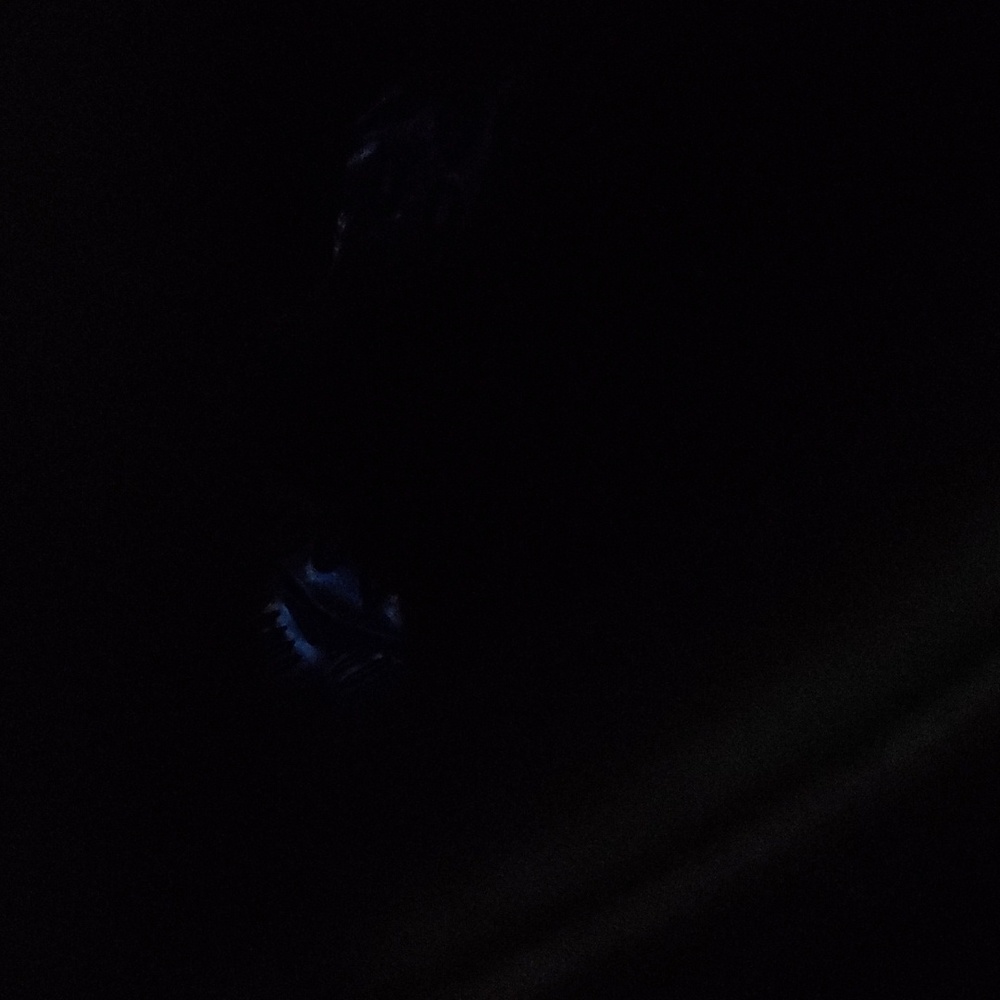 Marmont-leather Sandals